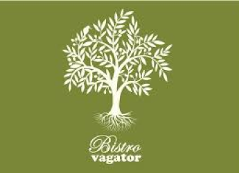 Bistro Vagator Logo